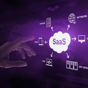 API Development & Integration